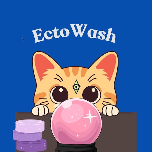 EctoWash's tweet card. Shop items by EctoWash.