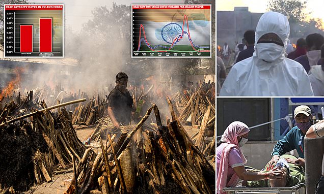 andrewsrunpage's tweet card. Another 2,624 deaths and 346,786 cases were reported in India on Saturday, although limited testing means this is likely to significantly underestimate the total.