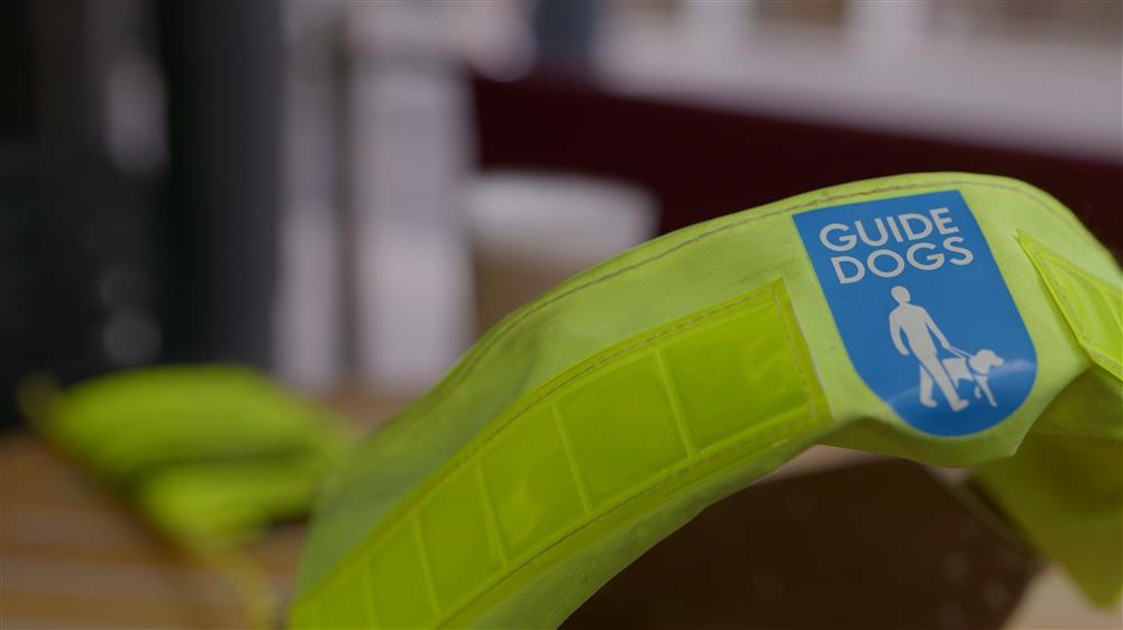 seandilleyNEWS's tweet card. Help Sean Dilley raise money to support Guide Dogs