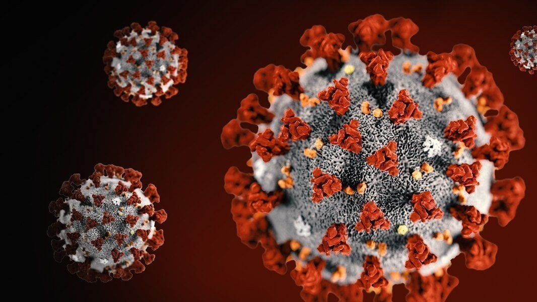 _seanmchugh's tweet card. Cancel the NYC Saint Patrick's day parade due to Coronavirus