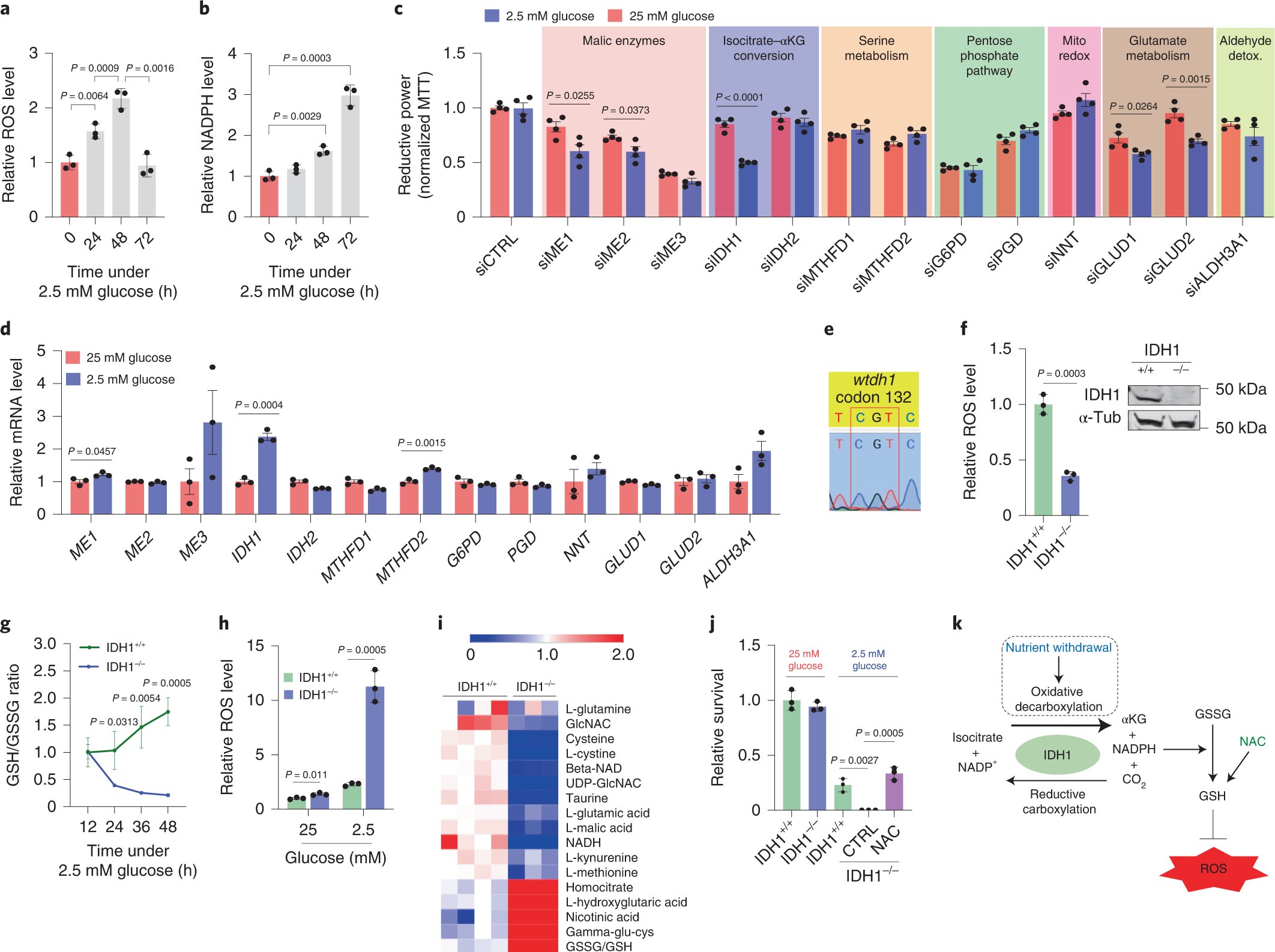 JordanMWinterMD's tweet card. Nature Cancer - Winter and colleagues demonstrate that metabolic adaptation to nutrient stress in the tumor microenvironment of pancreatic cancer leads to a dependency on IDH1, which is...