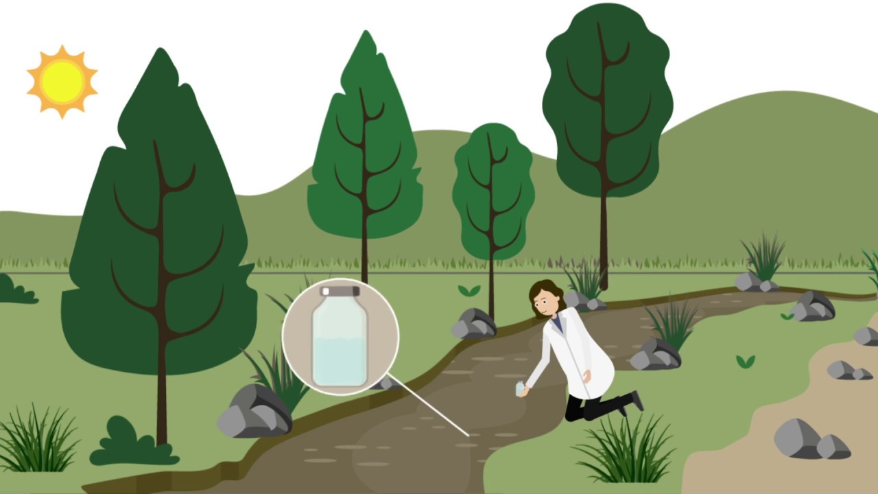 Warish73's tweet card. Microbial contamination tracking in water