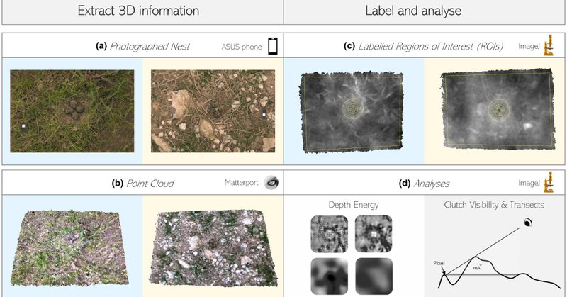 Tweet card summary image