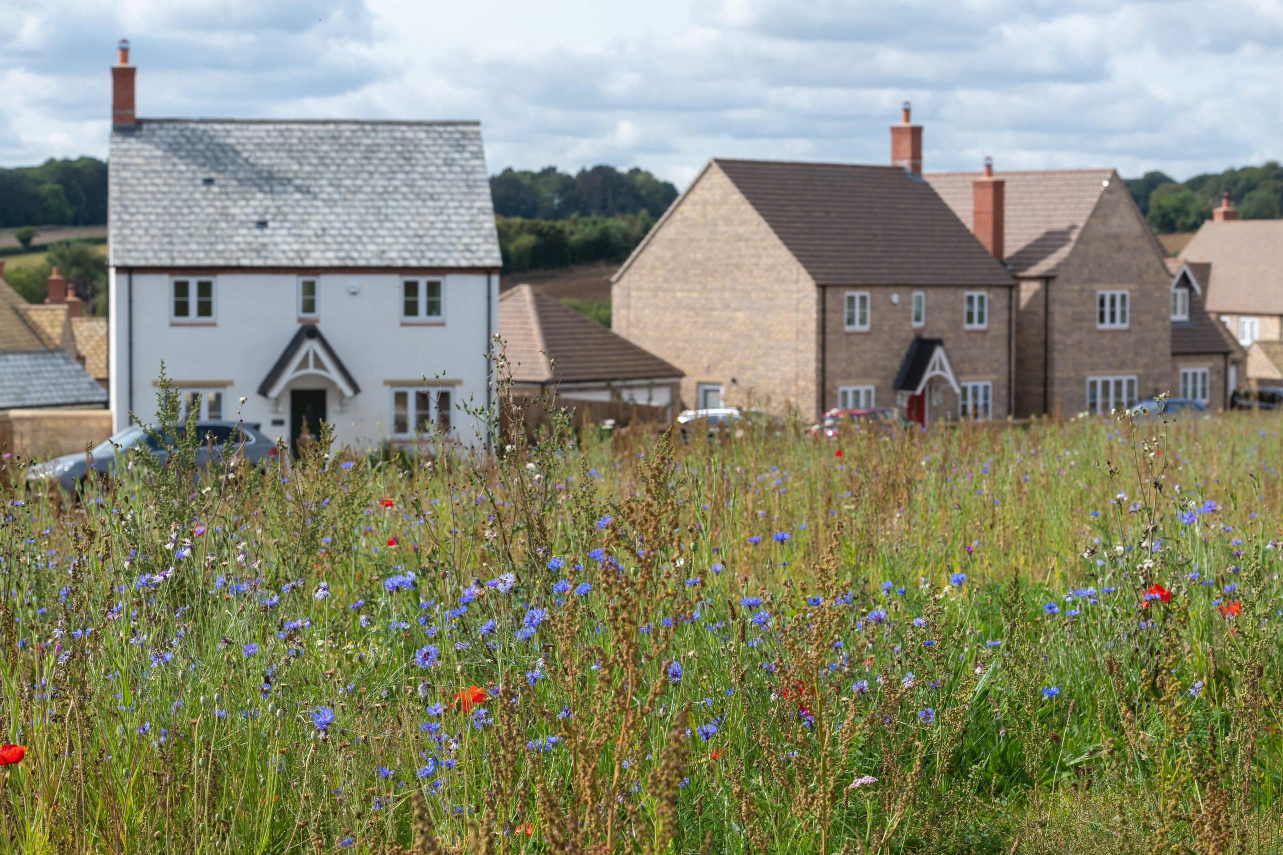 Corahomes's tweet card. Multi-award-winning housebuilder Cora has partnered with environmental consultants Auditel to drive forward its net zero ambitions.
