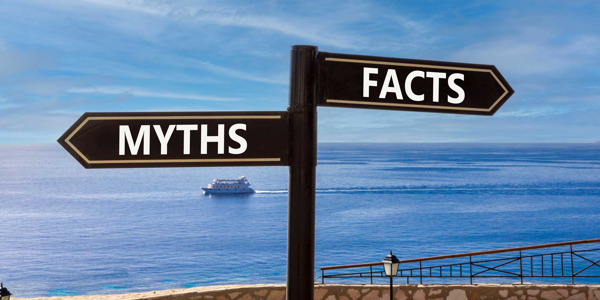 TrustleSecurity's tweet card. : Don't believe everything you read