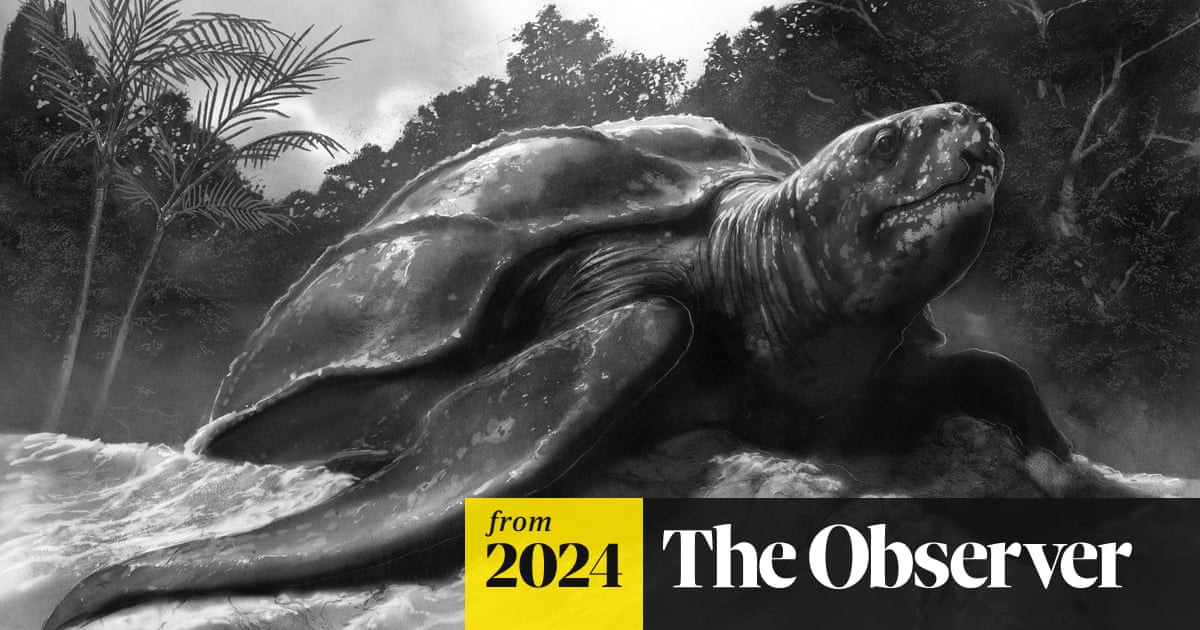 FrancesHardinge's tweet card. From young werewolves’ adventures with vampires to hard-up funeral crashers and the late Jeremy Strong’s wonderful final tale