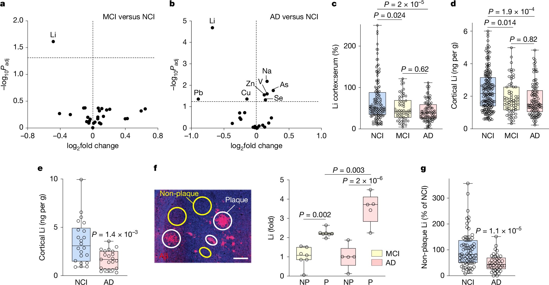 MattesBerlin's tweet card. Nature - Lithium has an essential role in the brain and is deficient early in Alzheimer’s disease, which can be recapitulated in mice and treated with a novel lithium salt that restores the...