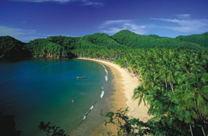 IrapaWeb's tweet card. La Península de Paria Descripción: Desde Río Caribe la tierra se desprende del continente y forma una extensa lengua que se prolonga hacia el mar. Es la península de Paria. Cuyo relieve montañoso e…