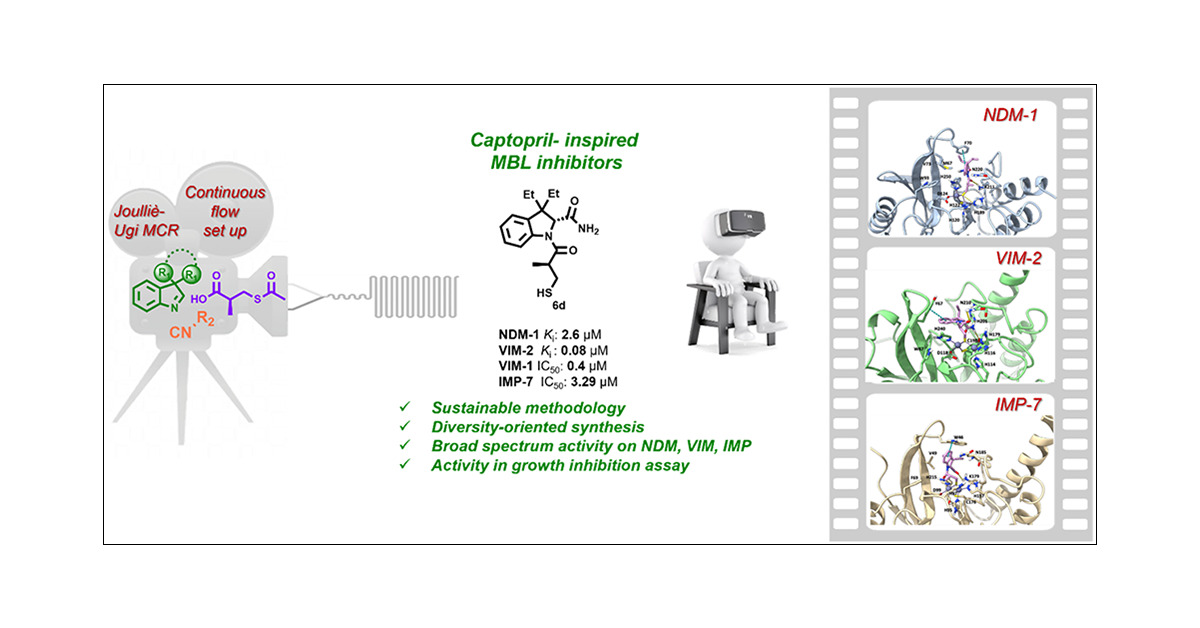 BrindisiMarghe's tweet card. Metallo-β-lactamases (MBL) production is one of the most alarming bacterial resistance mechanisms, conferring broad-spectrum resistance to most β-lactam antibiotics and combinations with β-lactamase...