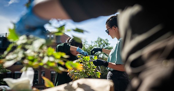 Tweet card summary image