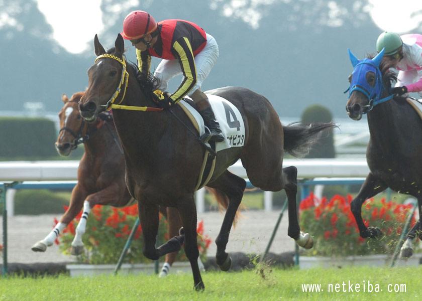 netkeiba's tweet card. ブエナビスタ (Buena Vista)の競走馬データです。競走成績、血統情報、産駒情報などをはじめ、50万頭以上の競走馬、騎手・調教師・馬主・生産者の全データがご覧いただけます。