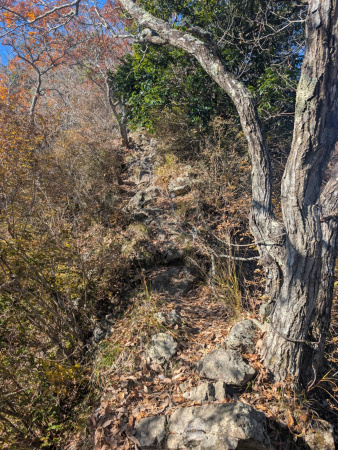 xuonix_com's tweet card. ― 痩せ尾根“かつての自分”と向き合う、7時間32分 ― 晩秋の澄んだ空気が、歩き出しの集中力を一段引き上げてくれた。大山の紅葉で混雑必至。今日は静かに歩ける稜線を求め、相州アルプスへ舵を切る。目的はただの縦走ではない。...