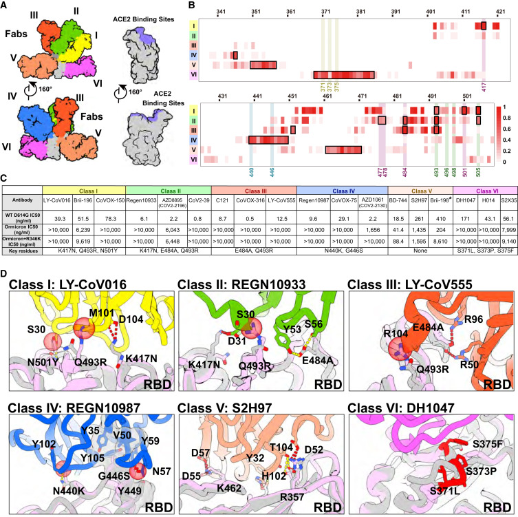 CellCellPress's tweet card. (Cell 185, 860–871.e1–e4; March 3, 2022)