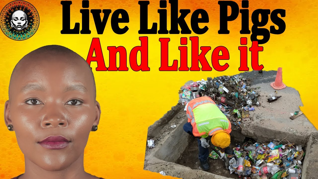 essie144's tweet card. Townships vs Suburbs - Why This Big Difference!