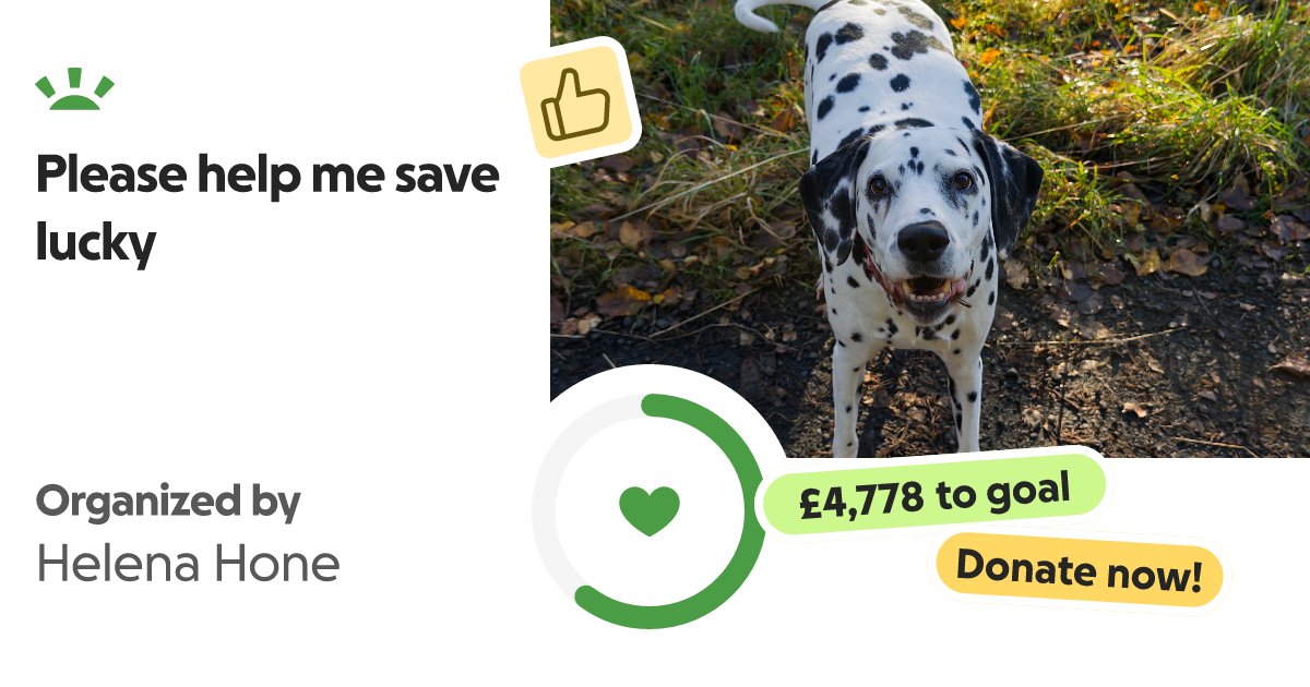 HelenaHone's tweet card. Hi, my name is Helena, and I’m not usually someone who does anything like this or asks for… Helena Hone needs your support for Please help me save lucky