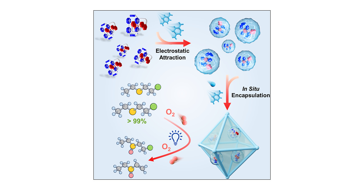 Isil24's tweet card. As an emerging class of porous supports, metal–organic frameworks (MOFs) can host multifarious guests to realize diverse applications. Among the guest-introducing approaches, the in situ encapsulat...