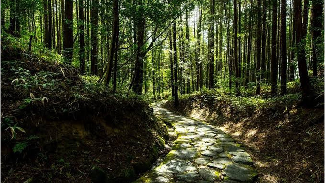 HirokiKazima25's tweet card. 諏訪市から上田市に抜ける中山道和田峠標高1531メートルを歩いて行く企画