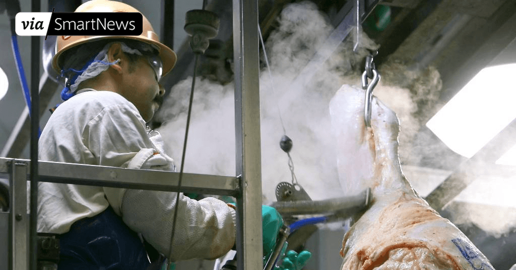 pblefty3's tweet card. A worker on the line uses a steam vacuum on any incision areas on the carcass during a tour of the Tyson meat packing plant in Lexington, Neb., Wednesday, No...