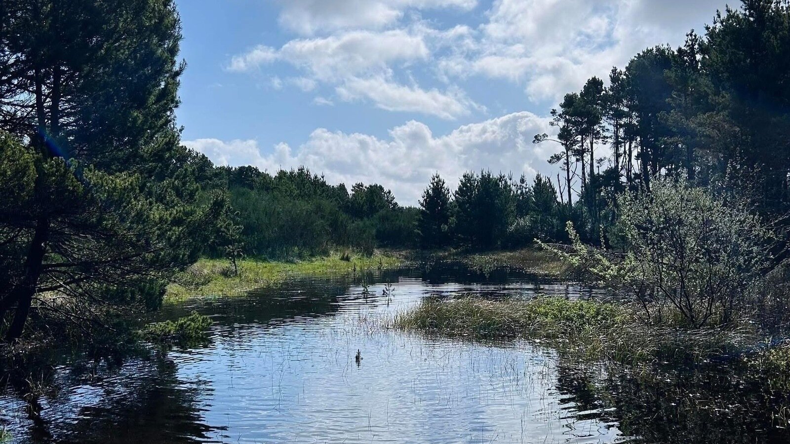 erikmschneider's tweet card. SAVE Westport Light State Park-STOP Commercialization & Destruction of Wetlands