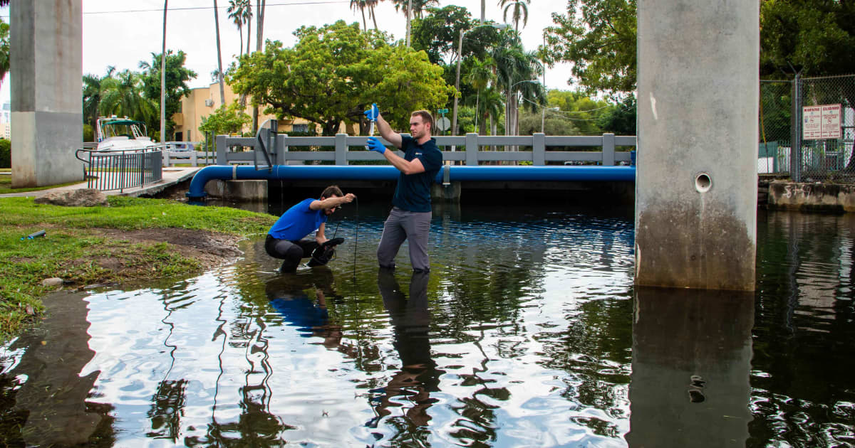 FIUEnvironment's tweet card. Institute of Environment researchers have established the first baseline of what actually happens in South Florida when organic material from septic tanks, storm runoff and salt water all meet.