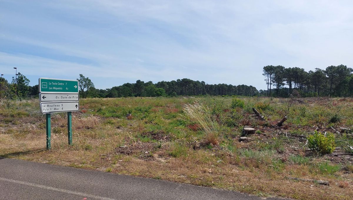 stopurbanisatio's tweet card. Le maire de La Teste-de-Buch milite pour la création d'un parking supplémentaire en face de la Dune afin d'éviter les problèmes de sécurité quand le parking officiel est plein. Le syndicat mixte qui...