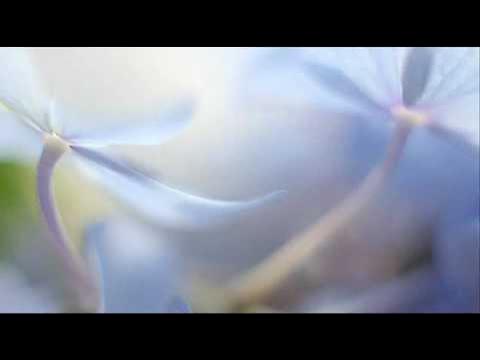 2AP_official's tweet card. Antonio Vivaldi: Concerto for violin, strings & b.c. in B flat major...