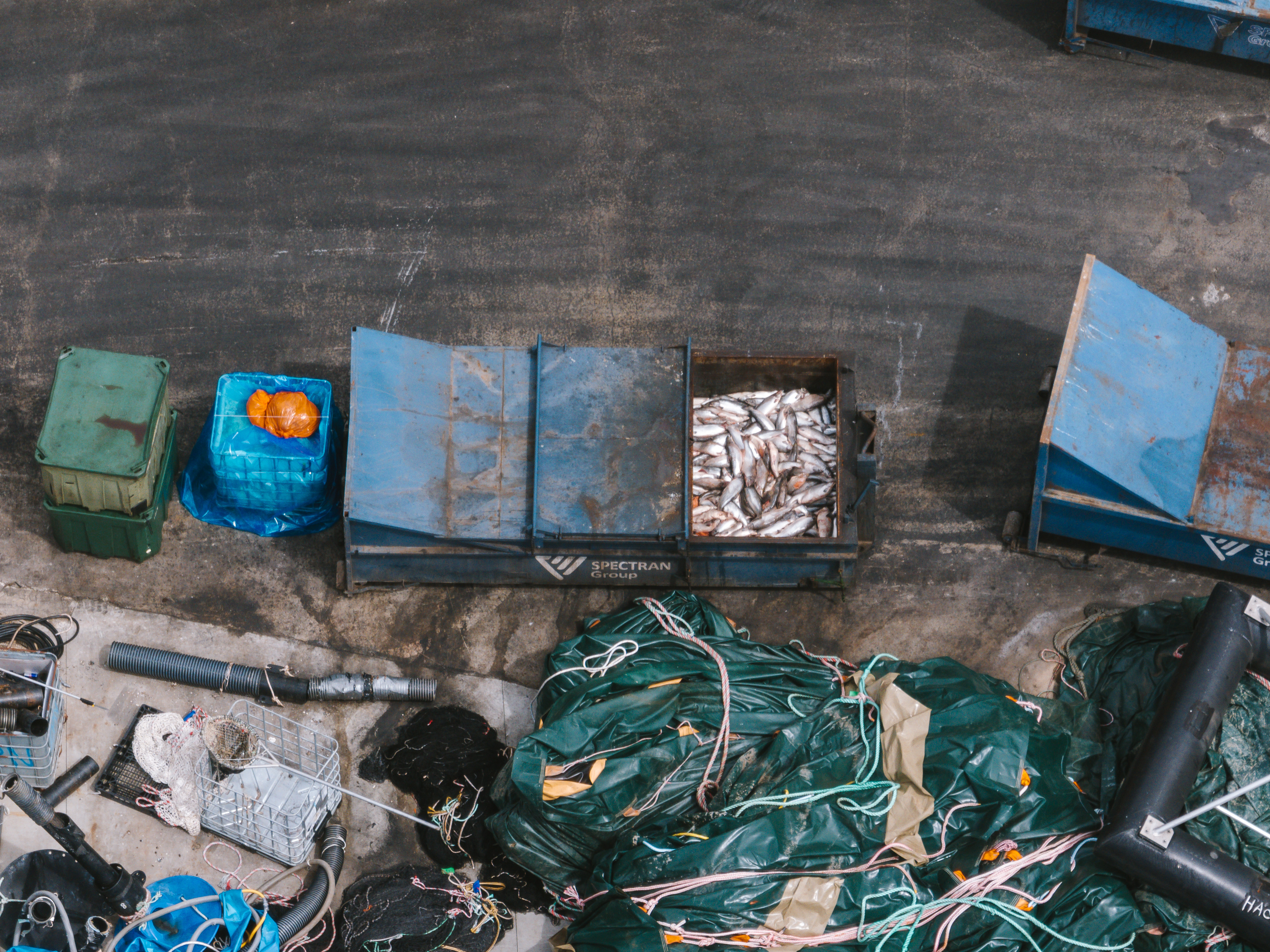 BobBrownFndn's tweet card. The Tasmanian Liberal government's release of the terms of reference for the salmon study review is predictably atrocious and lacking any concern for the marine