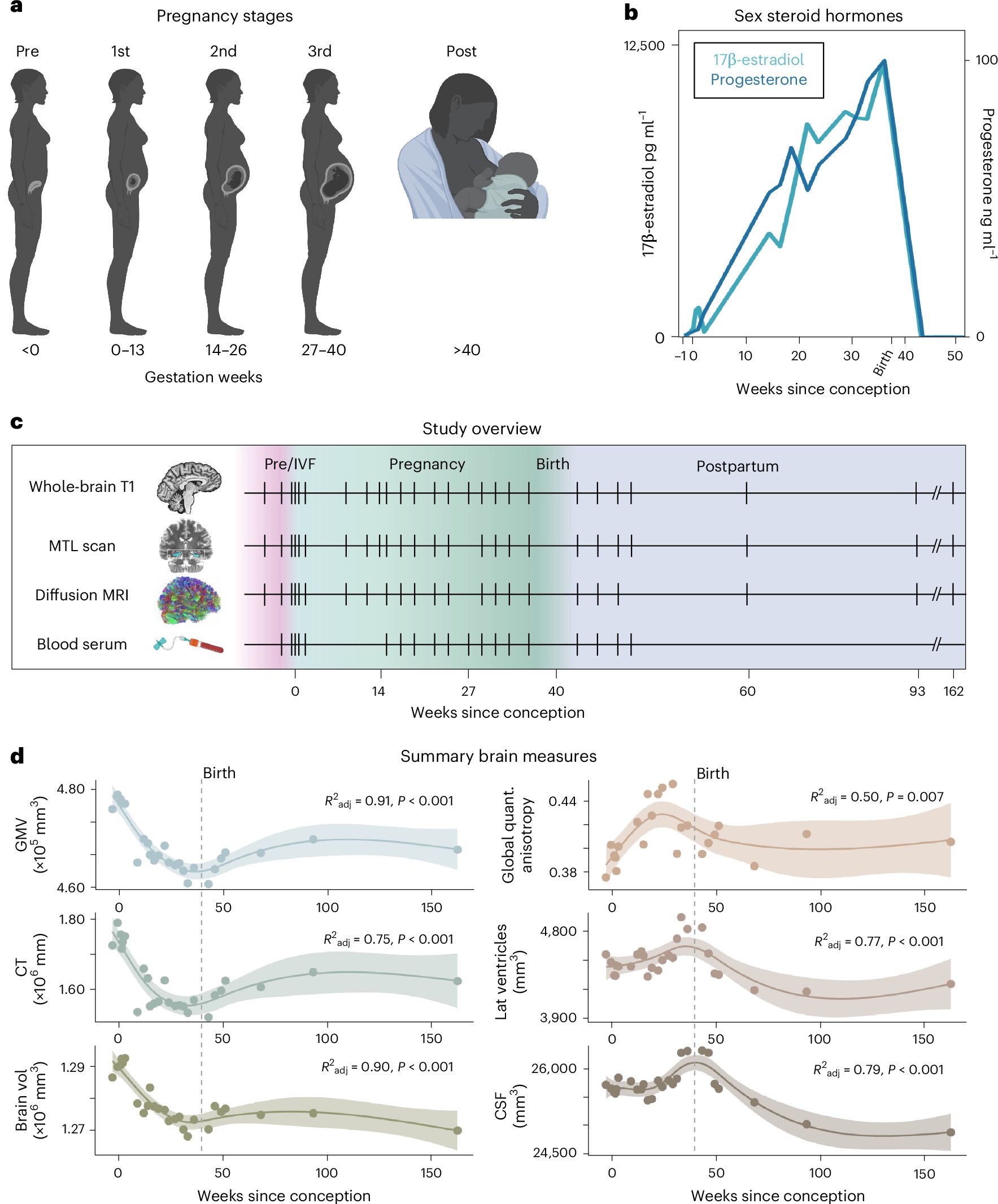 laura_pritschet's tweet card. Nature Neuroscience - Neural changes in pregnancy are not well understood. Here Pritschet et al. present an open-access precision brain imaging resource, mapping neuroanatomical change in an...