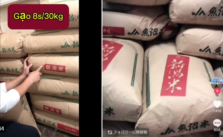 TM47383445's tweet card. まずは、クリックのご協力をお願いします　↓↓↓m(__)m　(adsbygoogle = window.adsbygoogle || []).push({});【メルカリで米を転売するベトナム人】日本語も話せないベトナム人が、米を大量に買い…