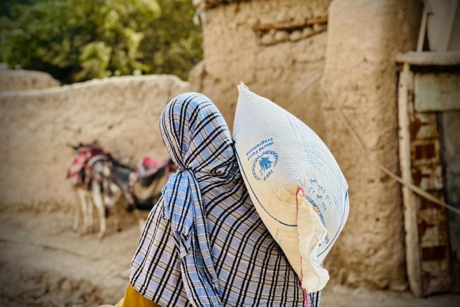 WFP_Afghanistan's tweet card. Hunger in Afghanistan is escalating rapidly, making it one of the world’s most severe hunger crises and ranking fourth globally for child acute malnutrition. As winter approaches, malnutrition among...