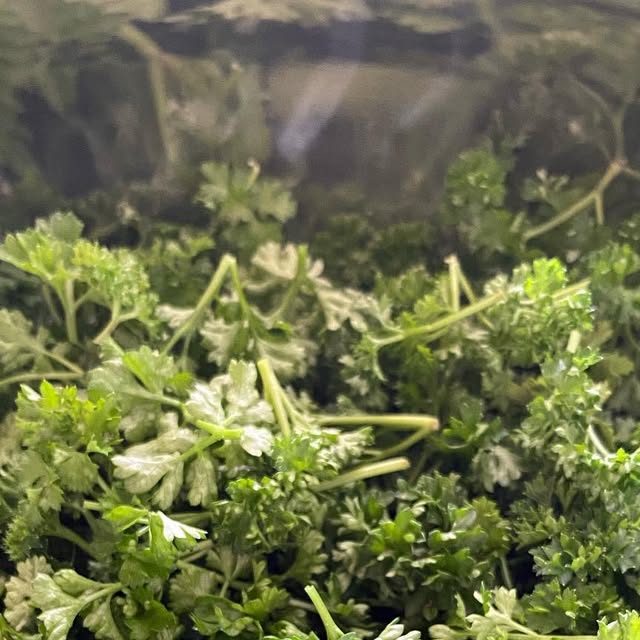 Poor_mans_guide's tweet card. Poor Man (@thepoormansguidetothegalaxy) • Instagram photo