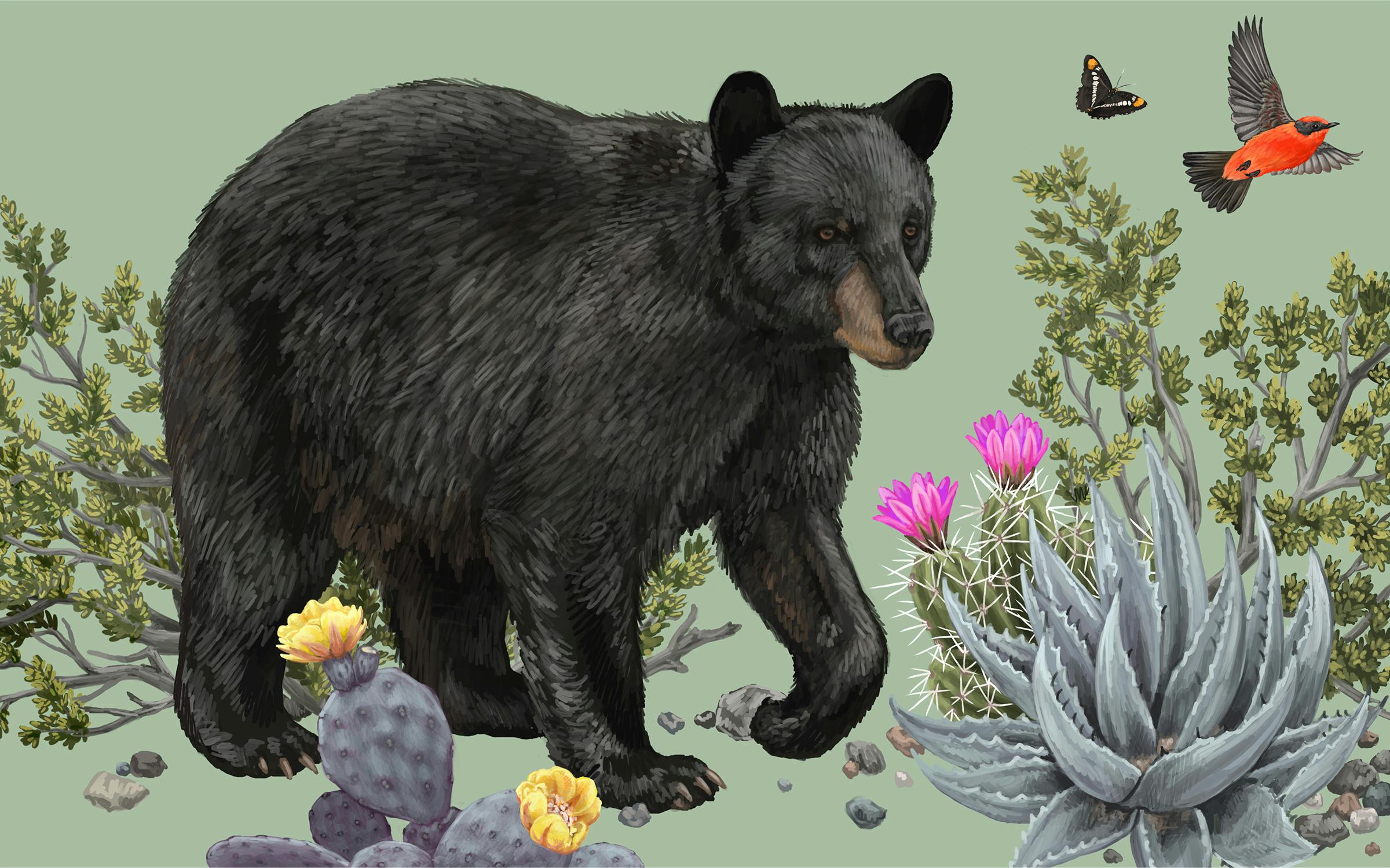 TexasMonthly's tweet card. These elusive beauties roam the state once again.