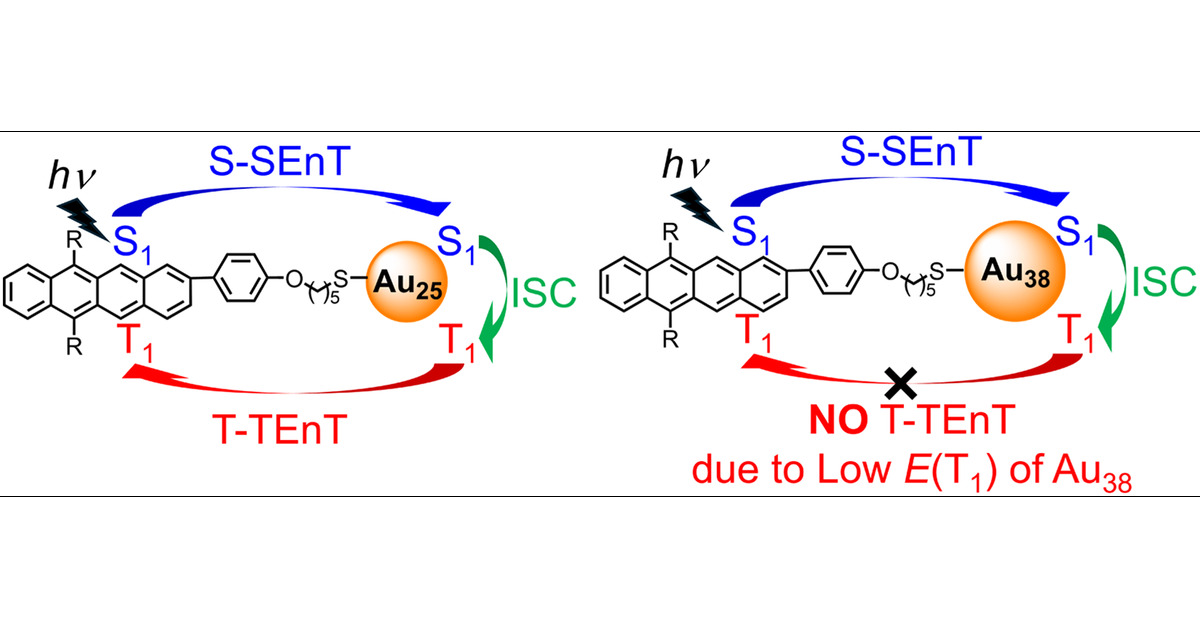 UNISOKU_PR's tweet card. A series of tetracene (Tc)-alkanethiol-functionalized gold nanoclusters (Aum: m = 25, 38) dyads with varying alkyl chain lengths (n = 5, 11) (denoted as Tc-Cn-Aum) were synthesized to investigate the...