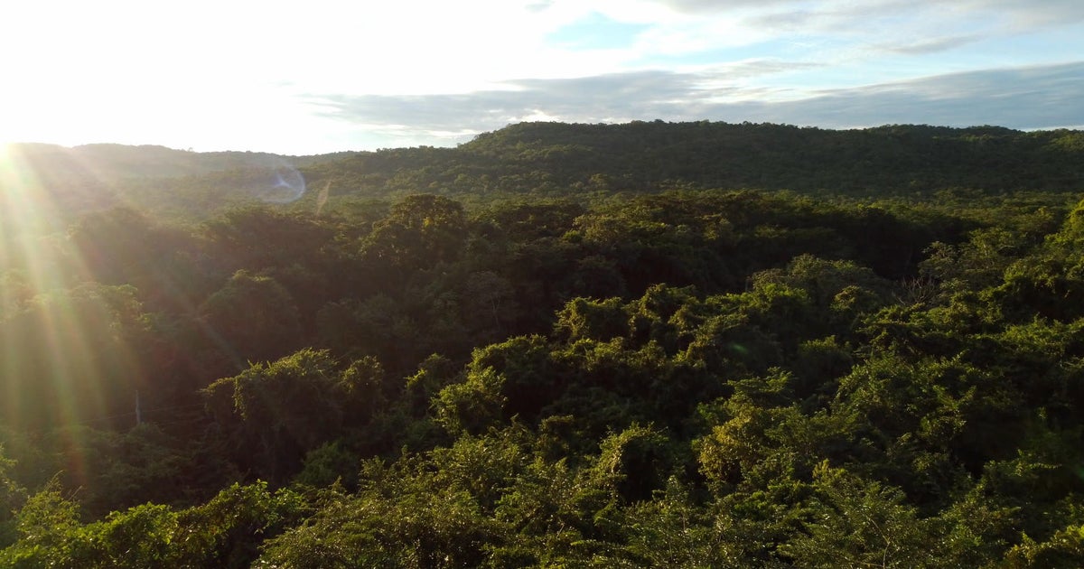 AllThingsBugs's tweet card. Leading biologist tells Scott Pelley humans would need "five more Earths" to maintain our current way of life.