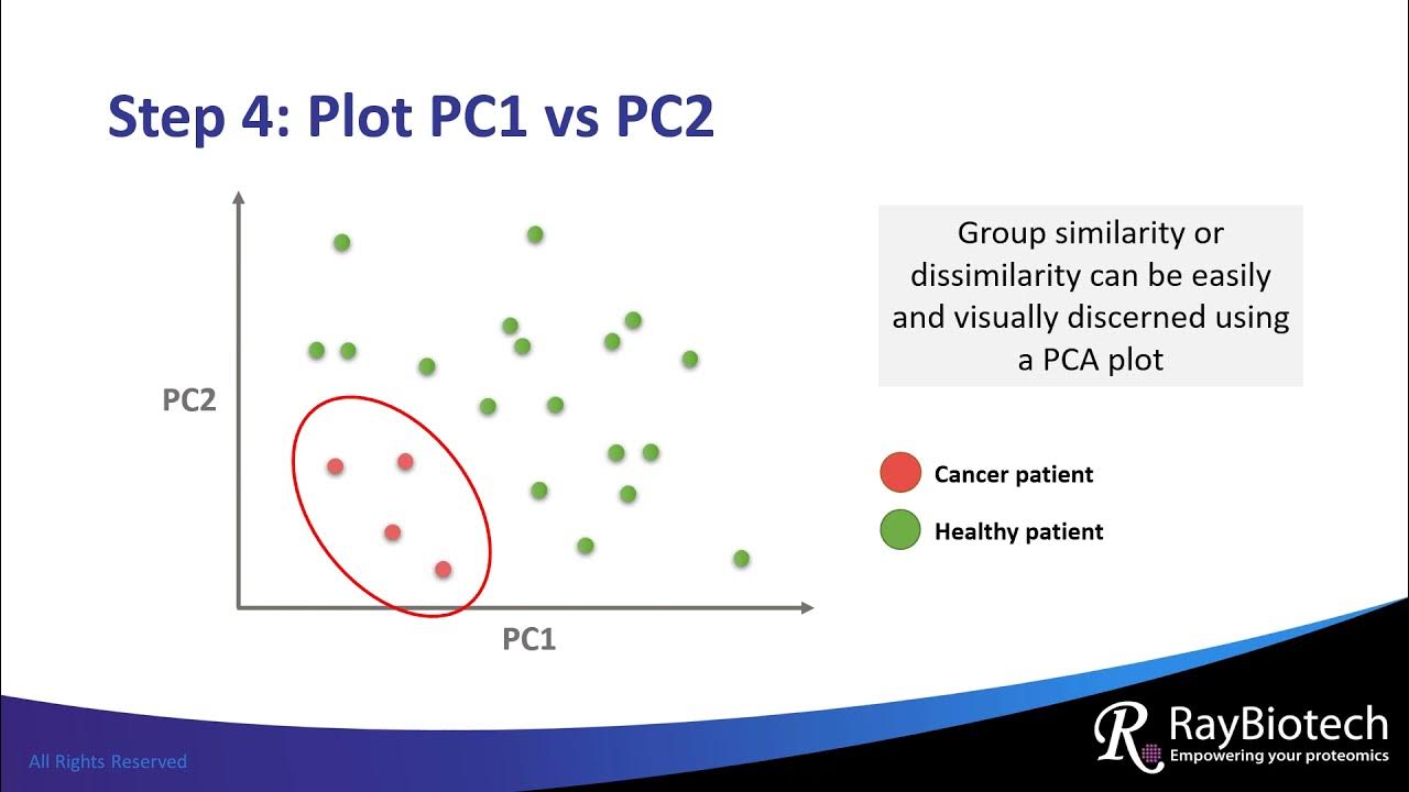 eldiosmercurio's tweet card. Principal Component Analysis Explained