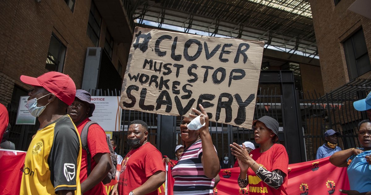 openDemocracy's tweet card. When dairy workers made common cause with Palestine solidarity activists, the result was radical love in the public square