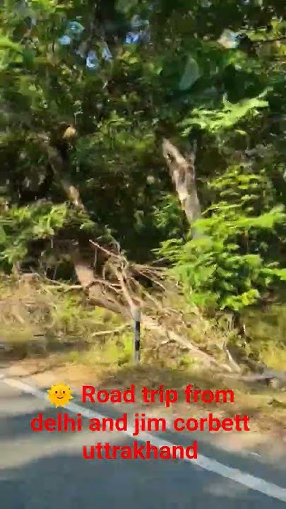 Subhashchamol11's tweet card. #roadtrip#satindersartaaj#titli#roadside #Delhi#uttarakhand#jimcorb...