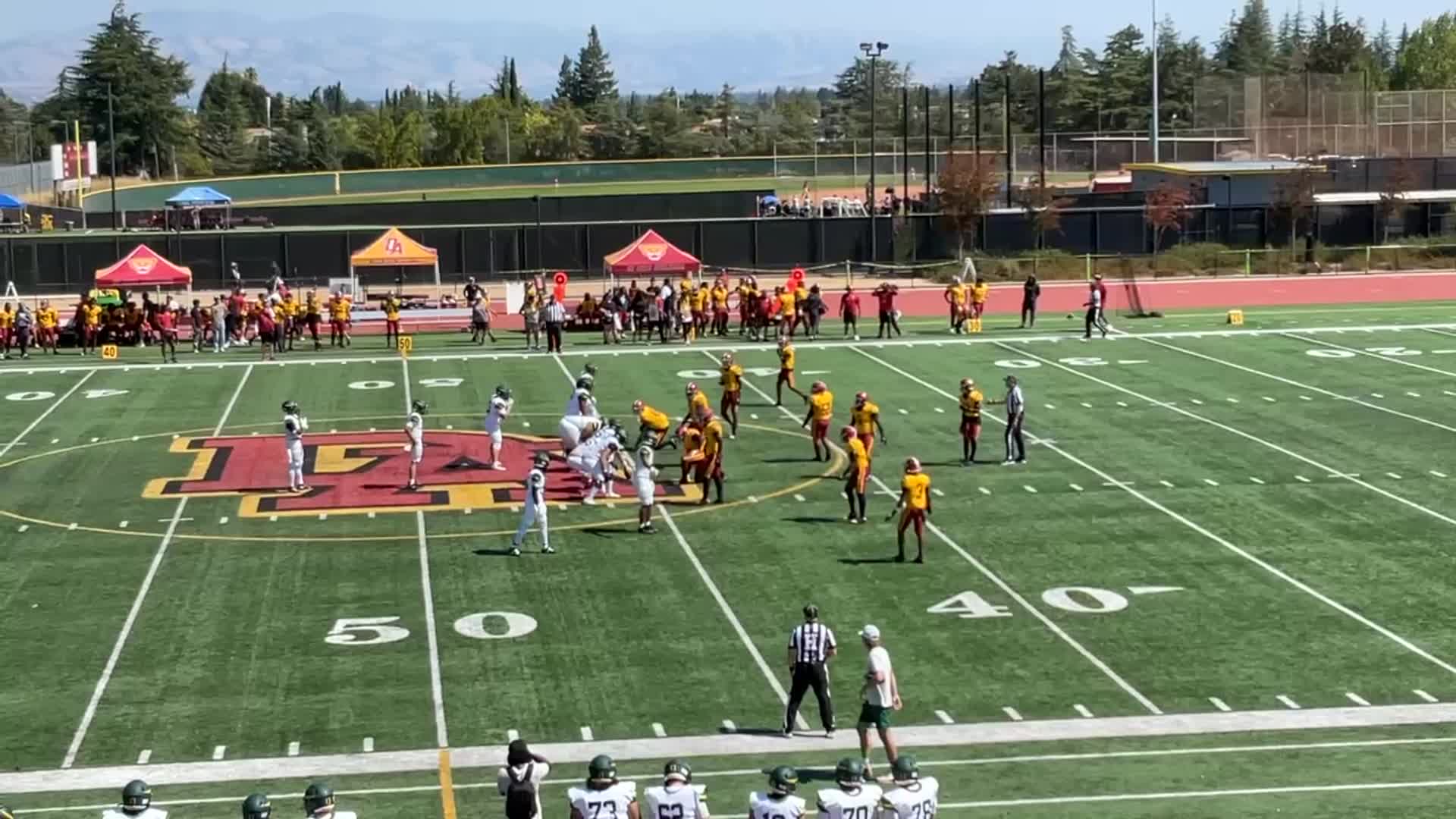 kayden_leaf's tweet card. Week 3 Highlights