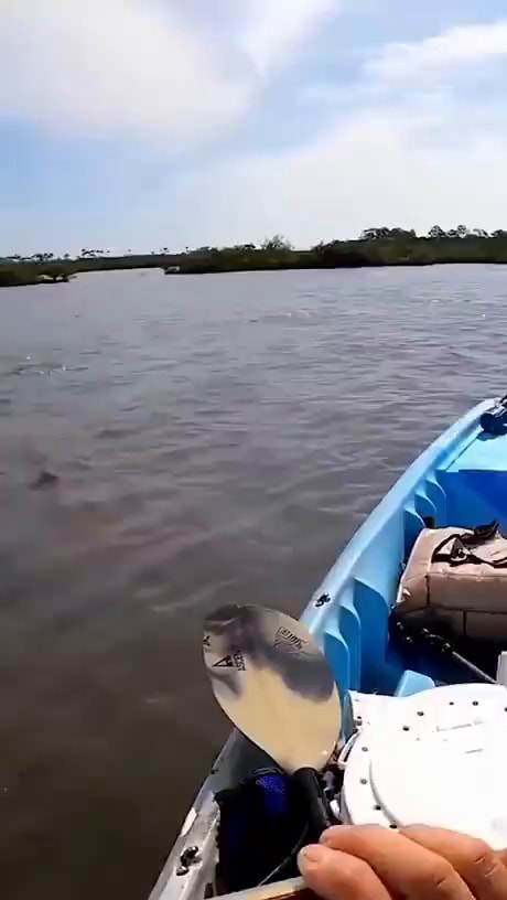 WorldWithOEnd's tweet card. Video memes 7MHyJZ89B by antique_deep_8: 85 comments - America’s best...