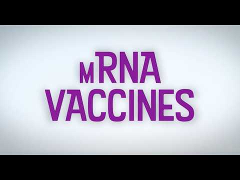 LearnGenetics's tweet card. How the mRNA Vaccines Were Made
