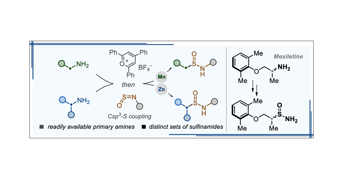 TheSahooGroup's tweet card. The conversion of primary amines into sulfinamides through formal sulfoxide (SO) insertion into stronger C–N bonds offers a challenging yet compelling approach for subtle functional group editing, in...
