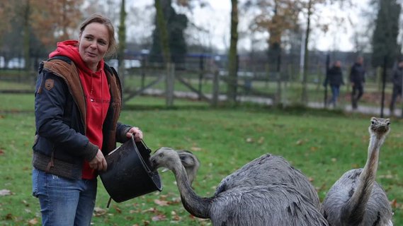 Image for twitter card