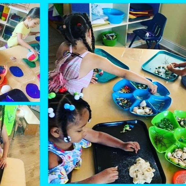 TreeDiscovery's tweet card. DiscoveryTree & Arista Schools (@discoverytree) • Instagram photos and videos