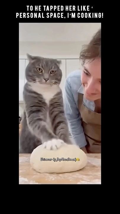 AITRADEIDEAS's tweet card. He tapped her like ‘personal space, I’m cooking!’ 😂🍞