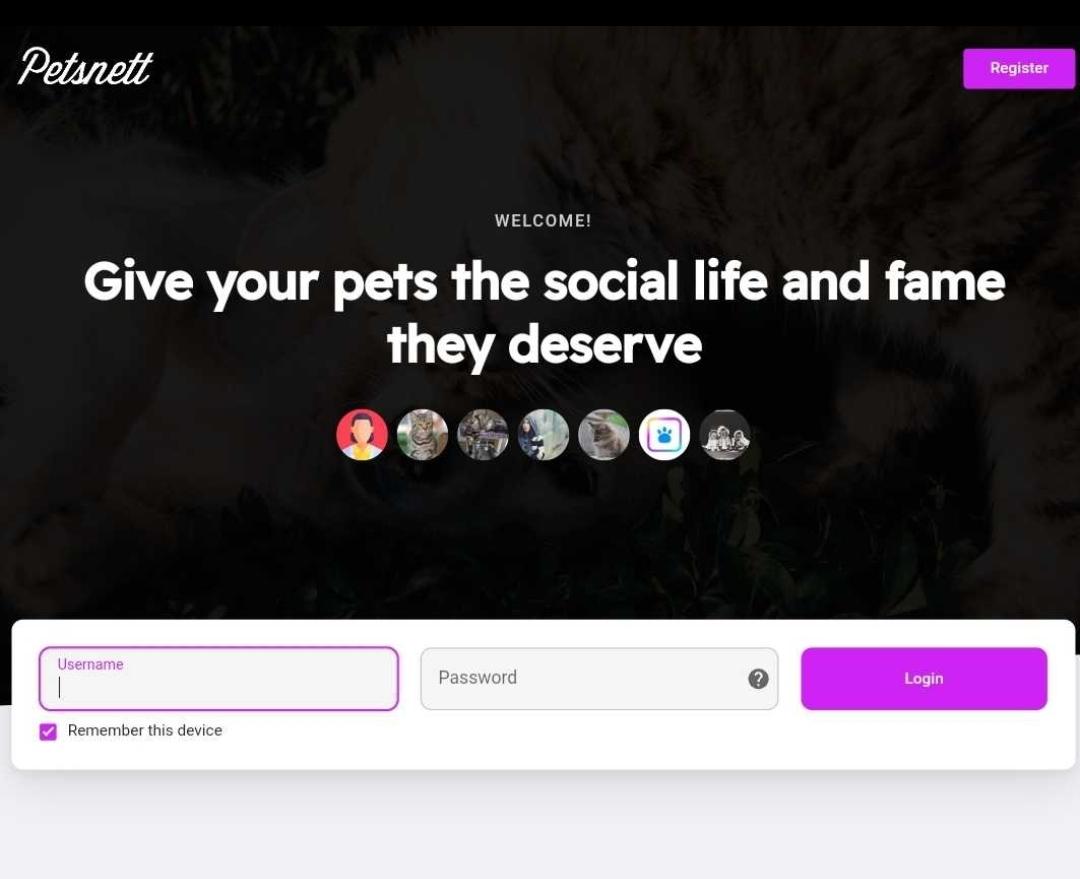 TYAnalysis's tweet card. Introduction In today’s digital age, pets are not just companions—they are family. Owners want to share their pets’ stories, capture