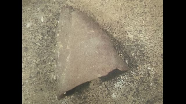 naruseyanoken1's tweet card. 　滋賀県は25日、琵琶湖の湖底から、1万1000年～1万500年前の縄文時代初期のものと推定される土器がほぼ完全な形で見つかったと発表しました。 　土器が見つかったのは、滋賀県長浜市湖北町の「葛籠