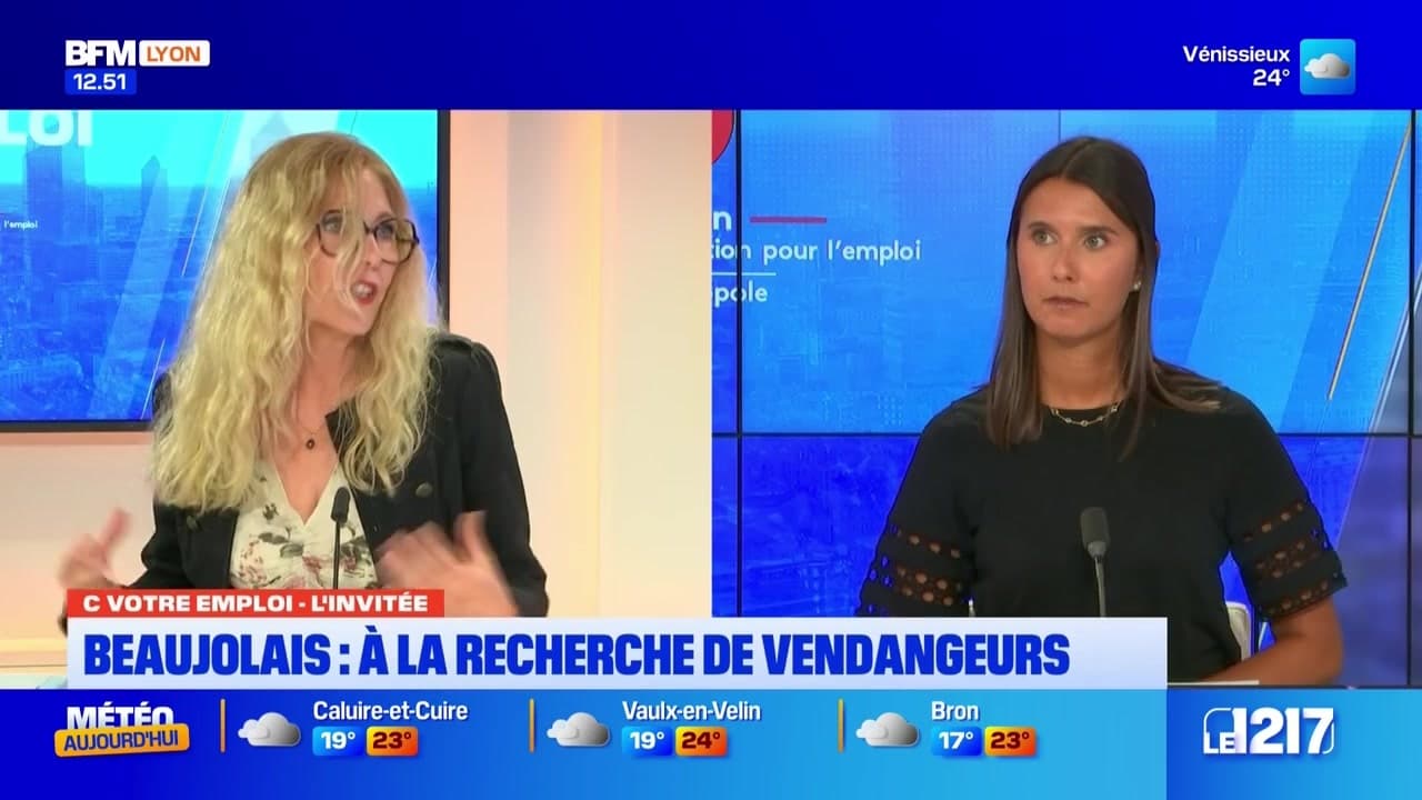 FTravail_ARA's tweet card. VIDÉO - Retrouvez votre rendez-vous C Votre Emploi du mercredi 4 septembre 2024 sur BFM Lyon : Beaujolais, à la recherche de vendangeurs.