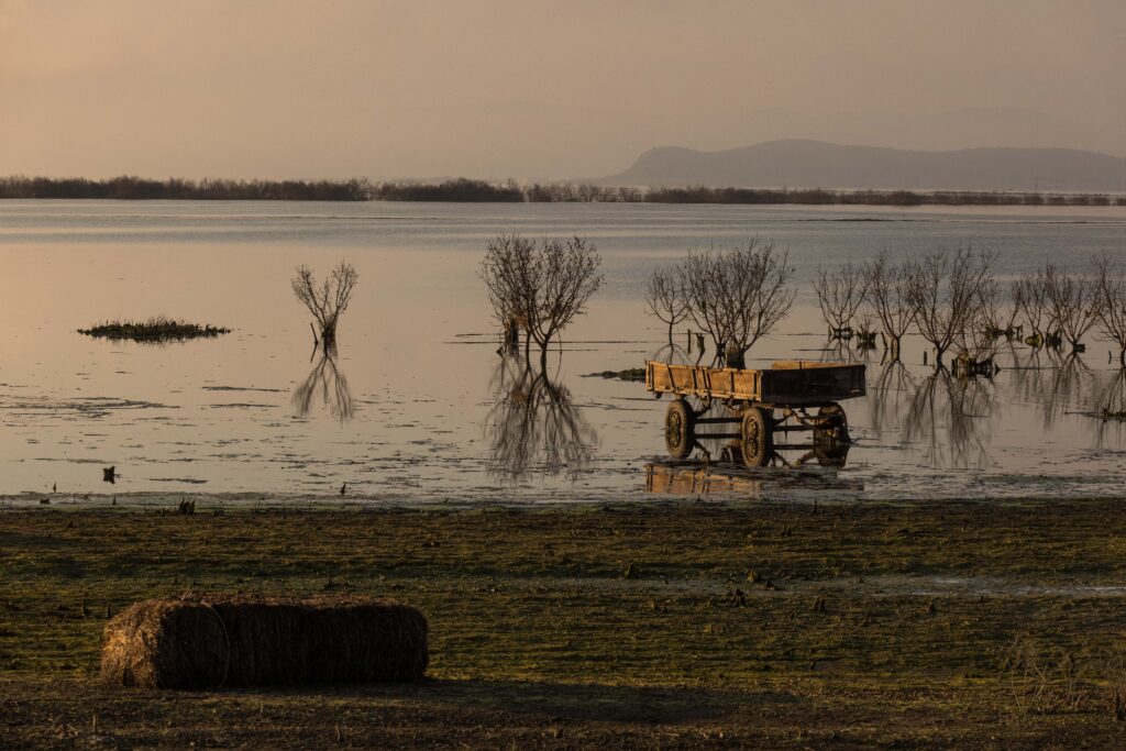 MyVolosNet's tweet card. Διαφοροποιήθηκαν τα εδάφη της Θεσσαλίας μετά τις πλημμύρες του Daniel ανέδειξε ημερίδα της Περιφέ...