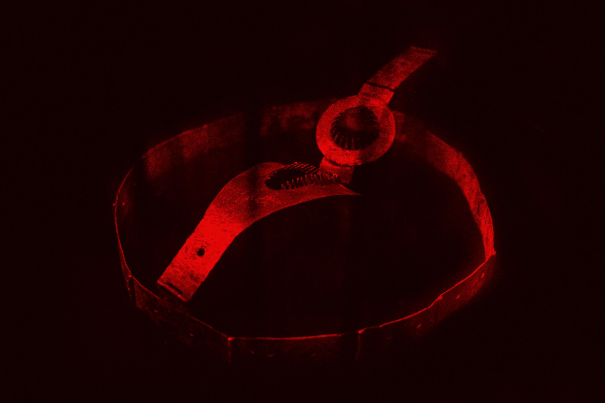 TimsTrust's tweet card. The fourth £20,000 Visionary Award is awarded to Laia Abril for  “A History Of Misogyny, Chapter 2: On Rape”