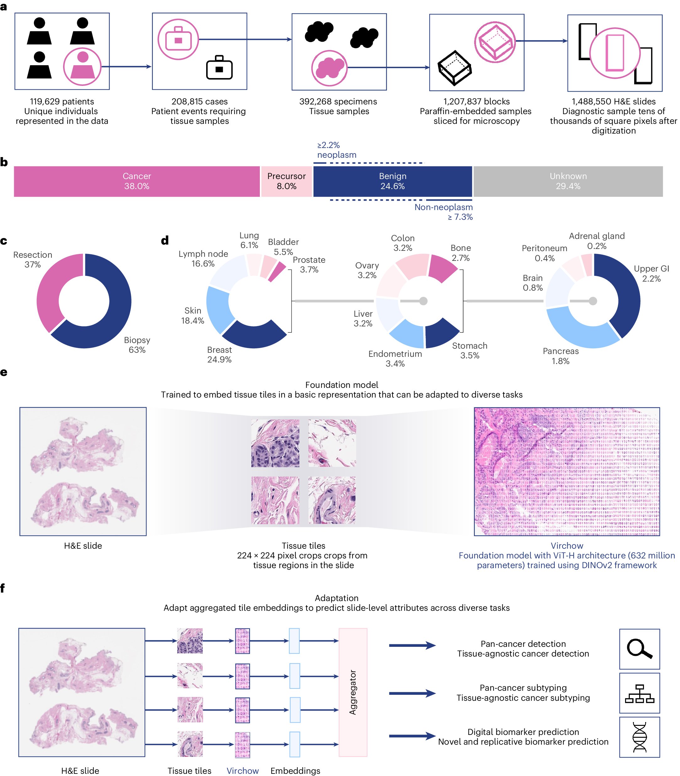 LorenzoRighett7's tweet card. Nature Medicine - Trained on 1.5 million whole-slide images from 100,000 patients, a pathology foundation model is shown to improve performance of specialized models in detection of rare...